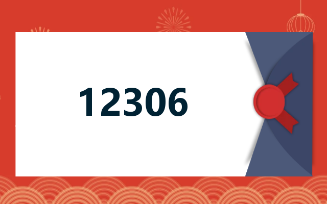 12306